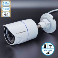 IP камера 5Мп IP65 VNI35 Орбита